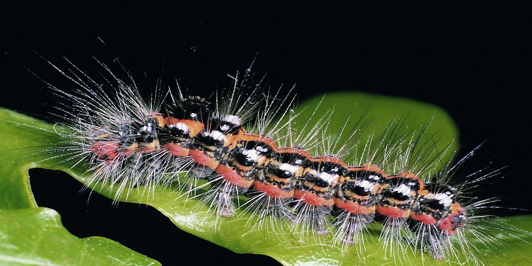 اسلاید چهارم